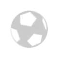 icon sport