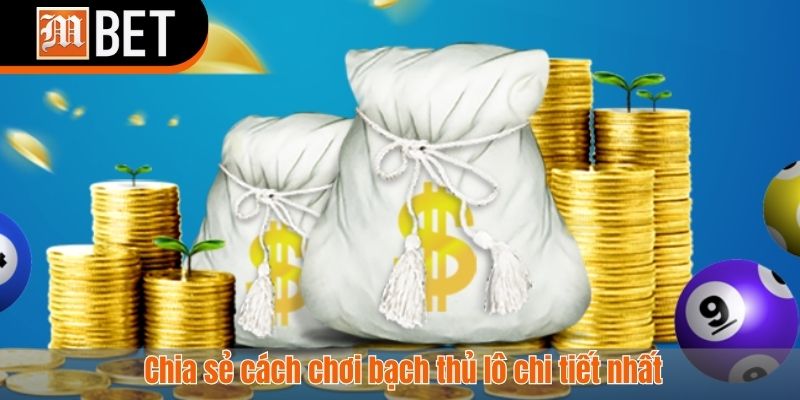 Bạch thủ lô là gì