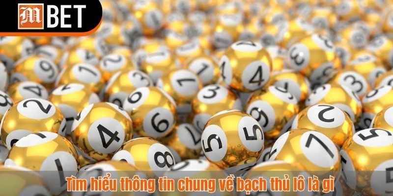Bạch thủ lô là gì