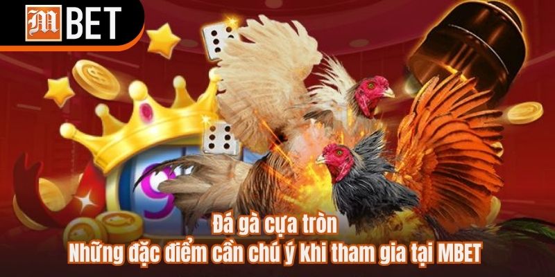 Đá gà cựa tròn