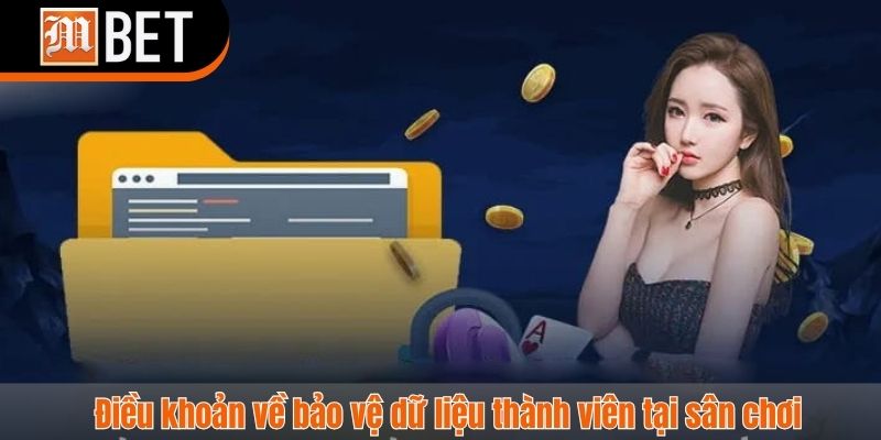 điều khoản điều kiện