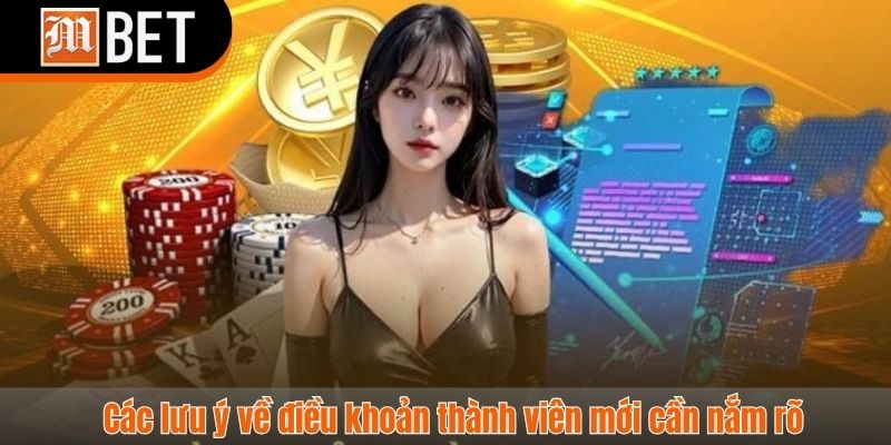 điều khoản điều kiện