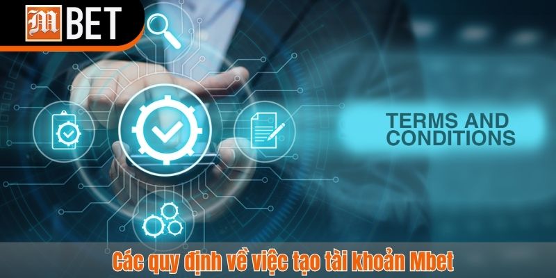 điều khoản điều kiện