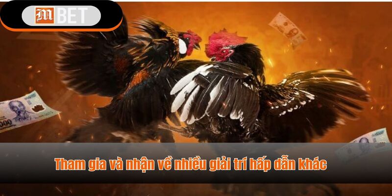 đá gà